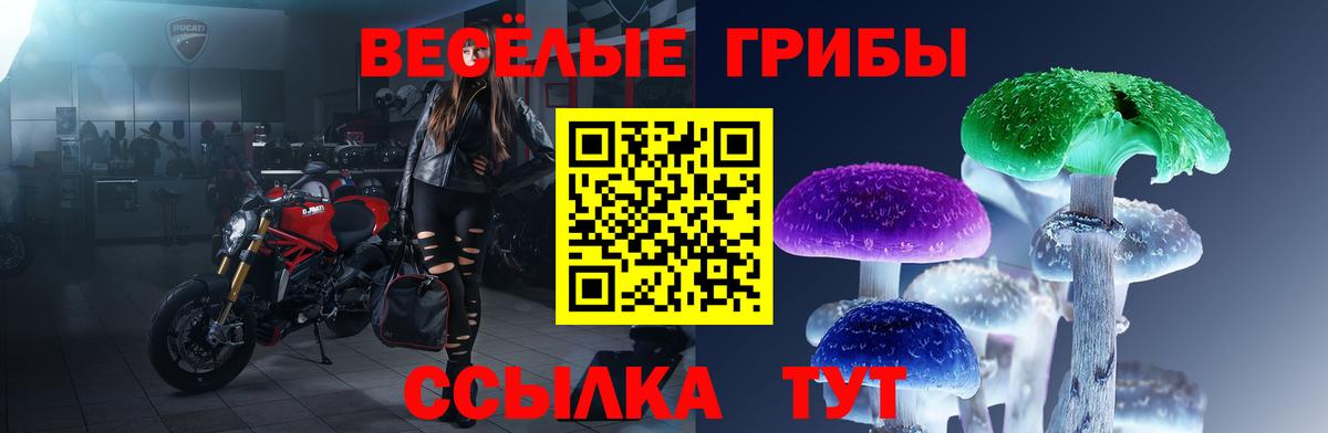 Галлюциногенные грибы Psilocybe Нефтеюганск